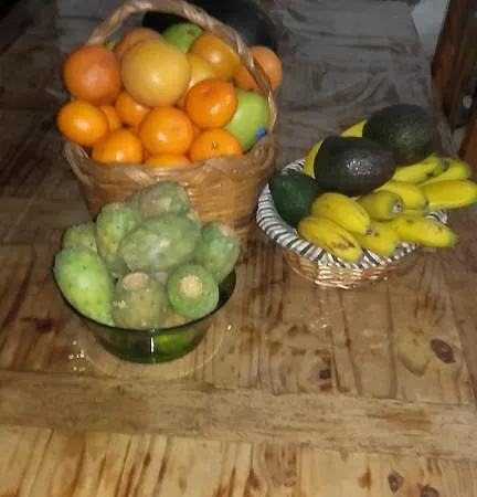 La Piedra Viva , Siete Hermanos Πανσιόν Agüimes