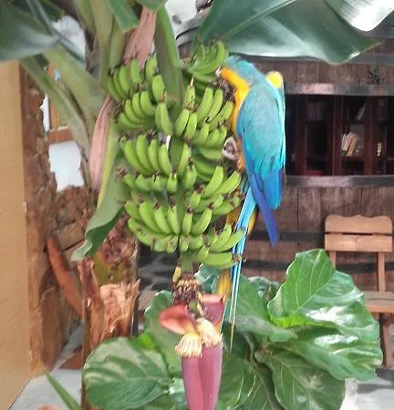 La Piedra Viva , Siete Hermanos بيت ضيافة 2*