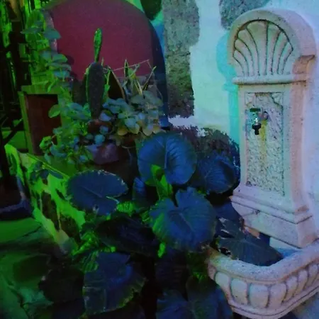Gasthuis La Piedra Viva , Siete Hermanos Agüimes